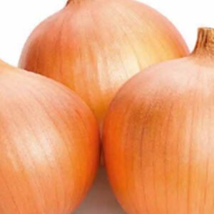 Onion