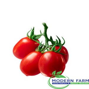 Cherry Tomato